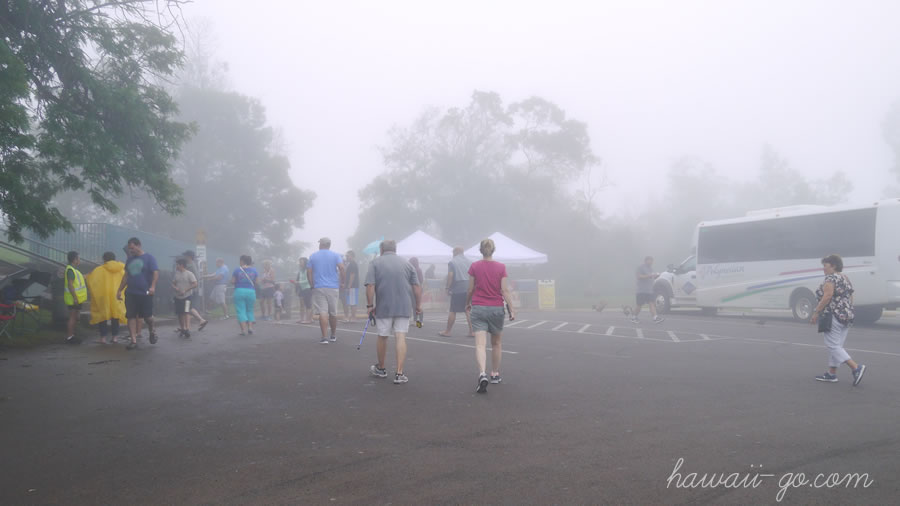 霧の観光地